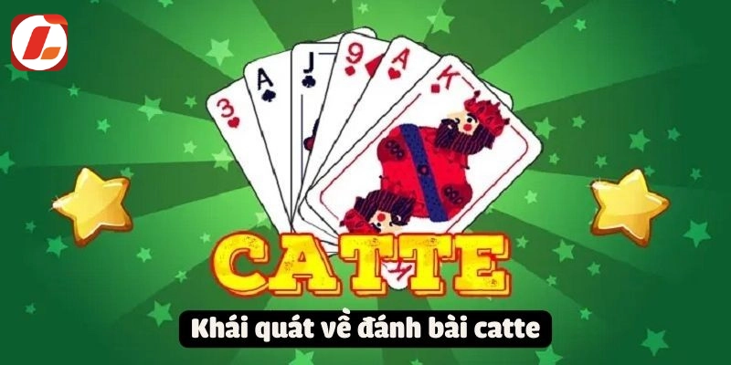 Bí kíp chinh phục bài Catte từ cao thủ 